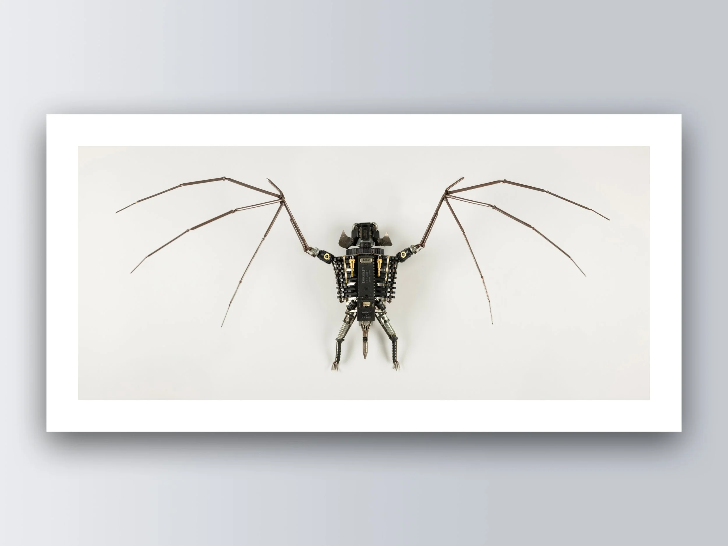 Zak Miskry Creations — Zak Miskry Creations